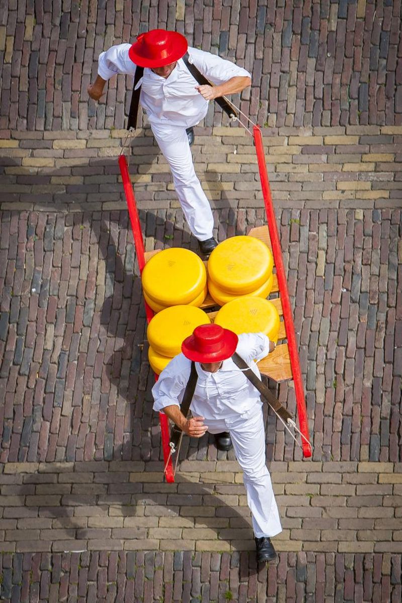 Kaasdragers op de Kaasmarkt van Alkmaar